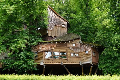 Free A charming wooden treehouse surrounded by dense green foliage, offering a secluded retreat. Stock Photo