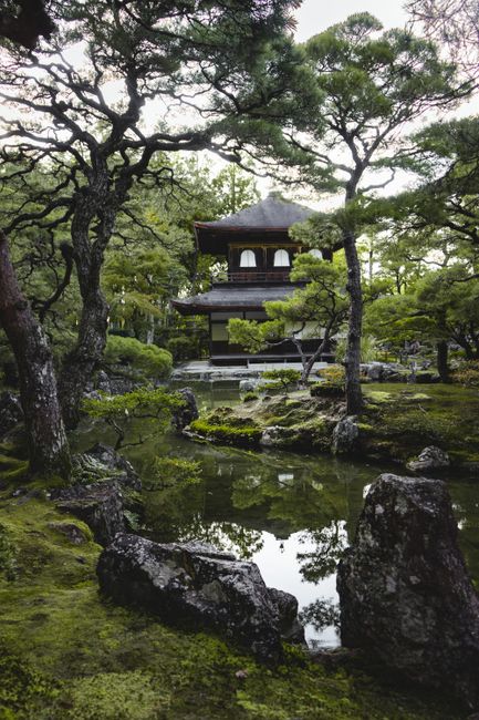 Serene garden view of Ginkaku-ji Temple in Kyoto, Japan, showcasing traditional architecture and lush greenery.