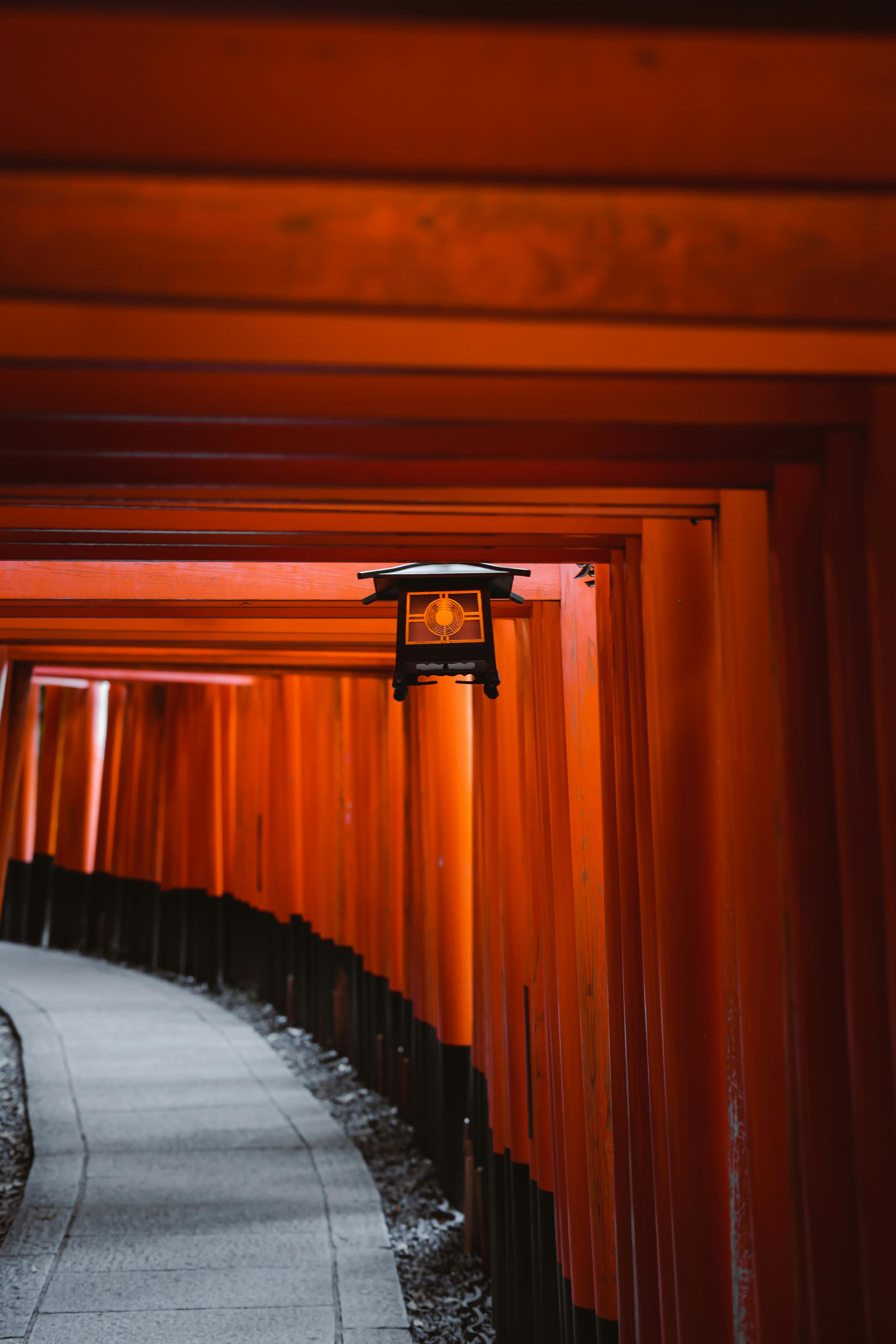 Serene corridor of iconic red torii gates at Fushimi Inari Shrine in Kyoto, Japan.
