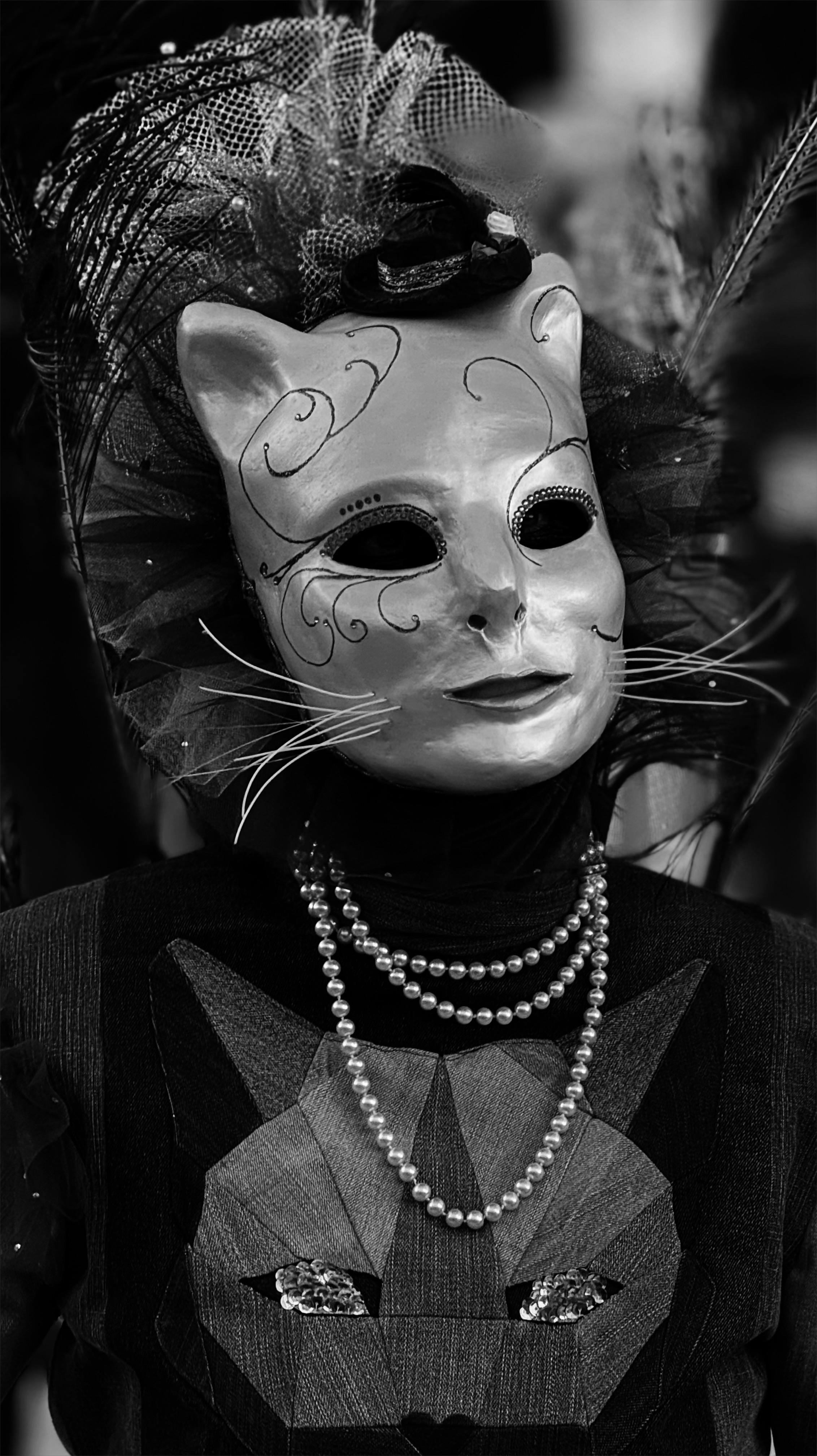 Free A mysterious figure wearing a cat-themed mask and elaborate costume, captured in black and white. Stock Photo
