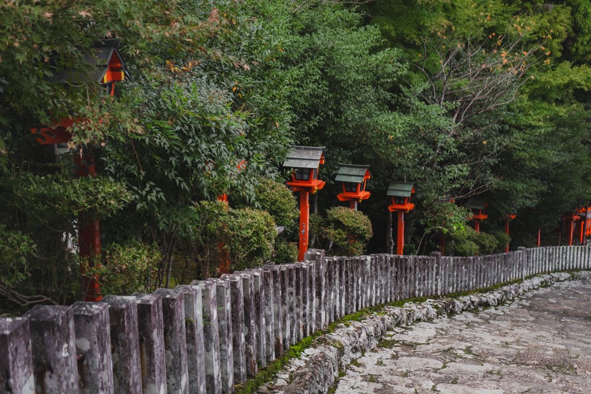 Forest pilgrimage path with red torii gates — the ancient Kumano Kodo route through Wakayama's cedar-forested mountains