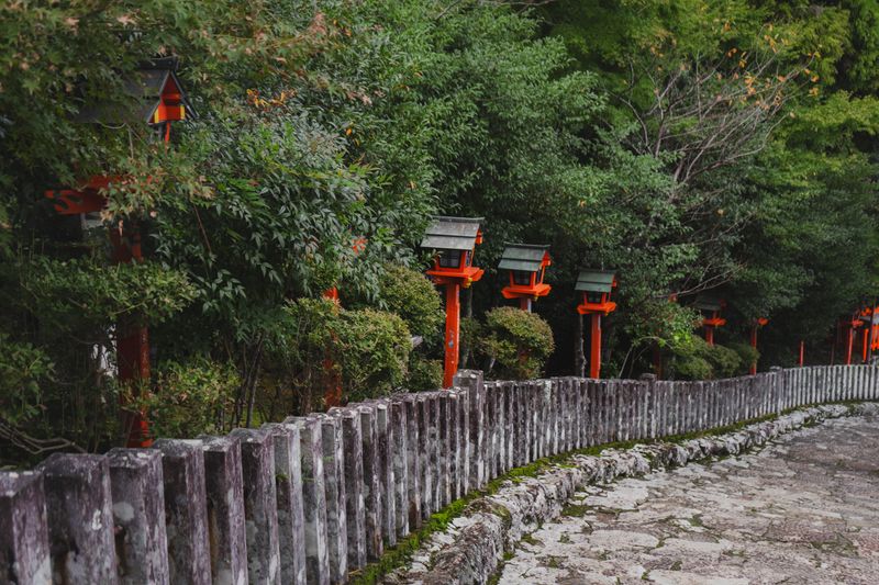 Traditional Japanese forest path with red torii gates through dense green woodland — the ancient pilgrimage atmosphere of the Kumano Kodo sacred trail network