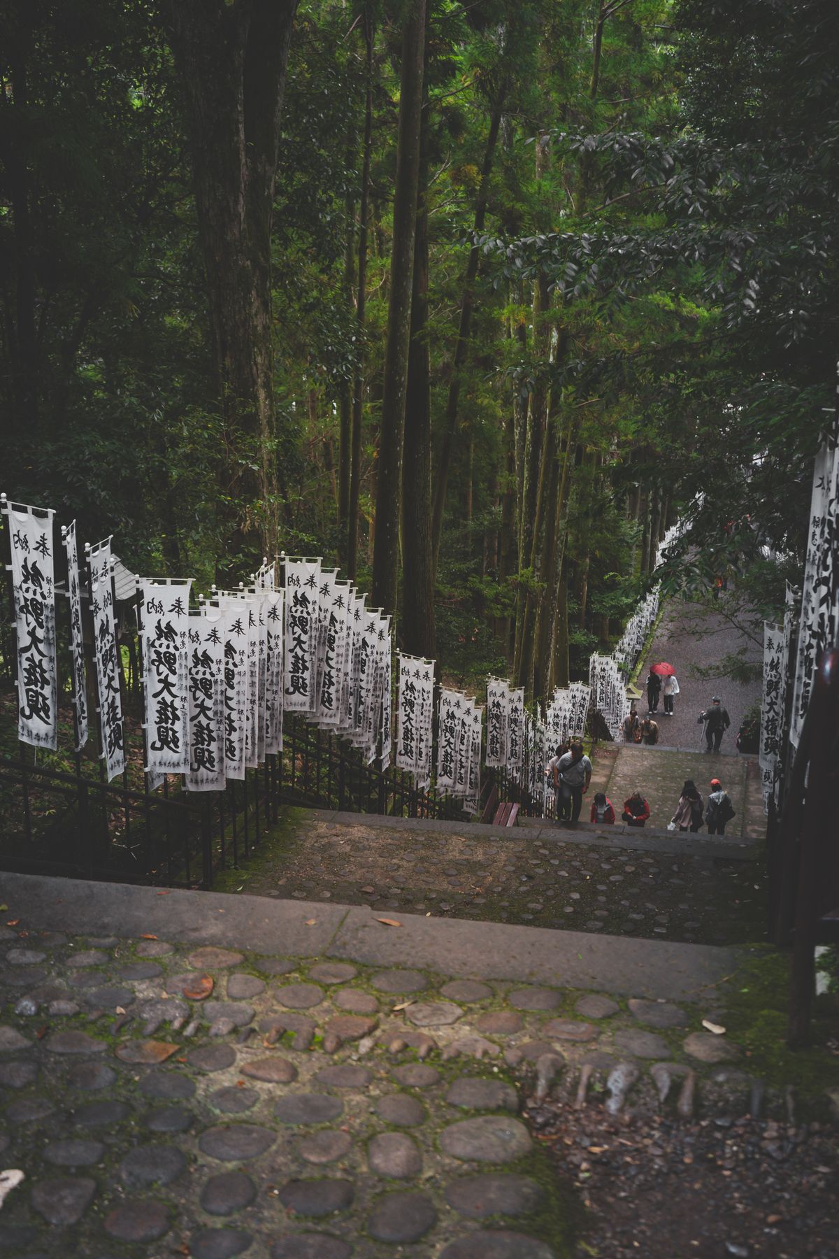 Ancient stone-paved steps descending through dense forest with prayer tablets — the meditative atmosphere of Eihei-ji's approach and training monastery grounds