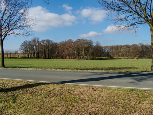 Free Quiet countryside road with lush fields and clear blue sky, ideal for nature lovers. Stock Photo