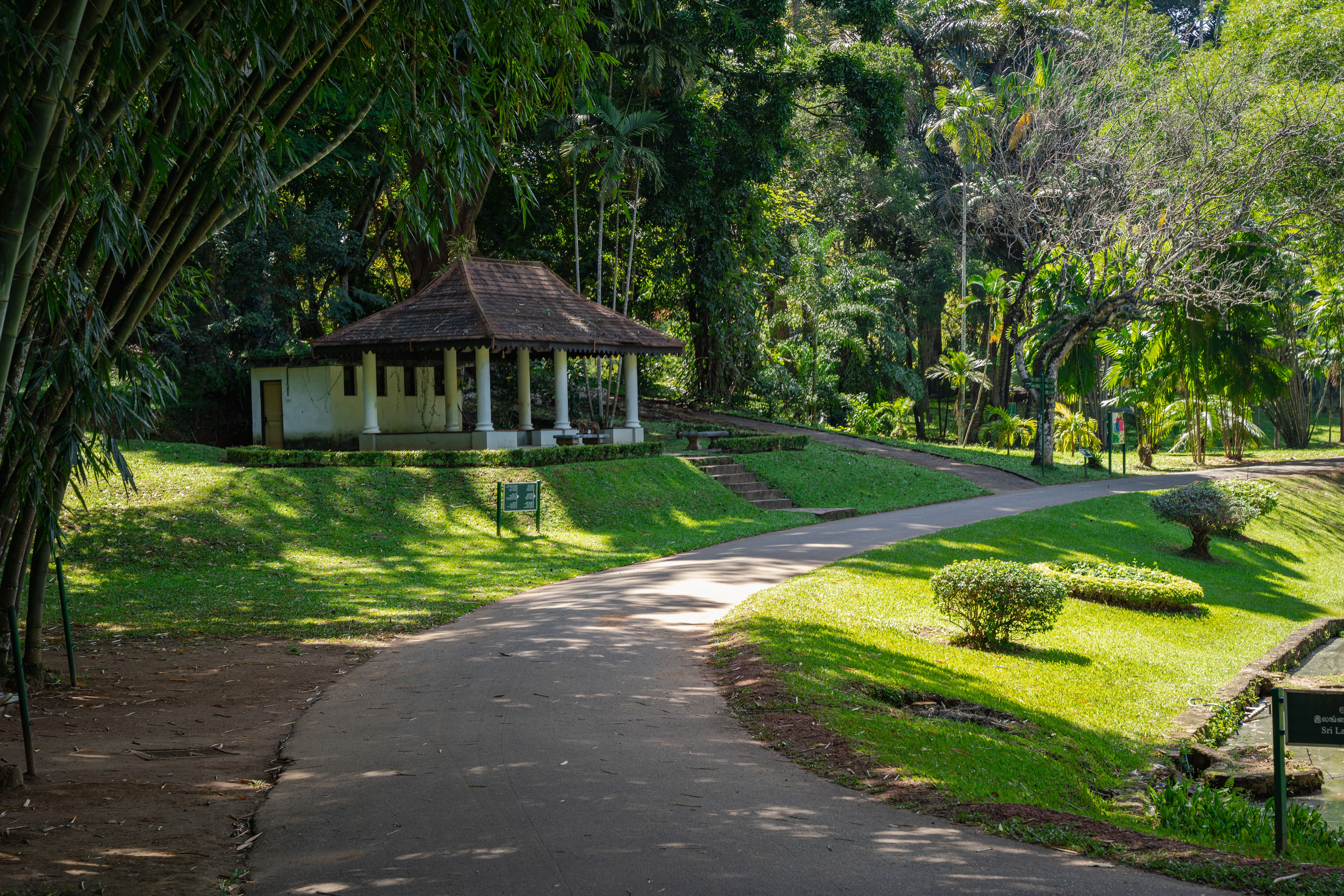 Sri Lanka Ayurveda Retreat: What to Expect and How to Plan