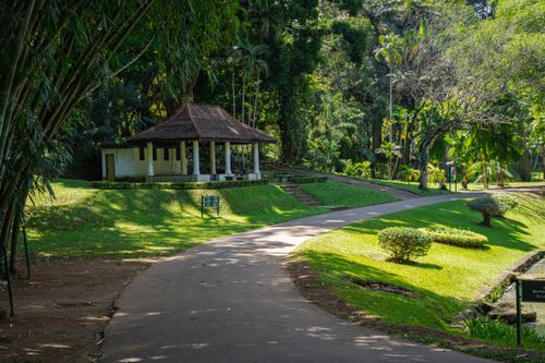Free Scenic view of a traditional pavilion surrounded by lush greenery in a public park pathway. Stock Photo
