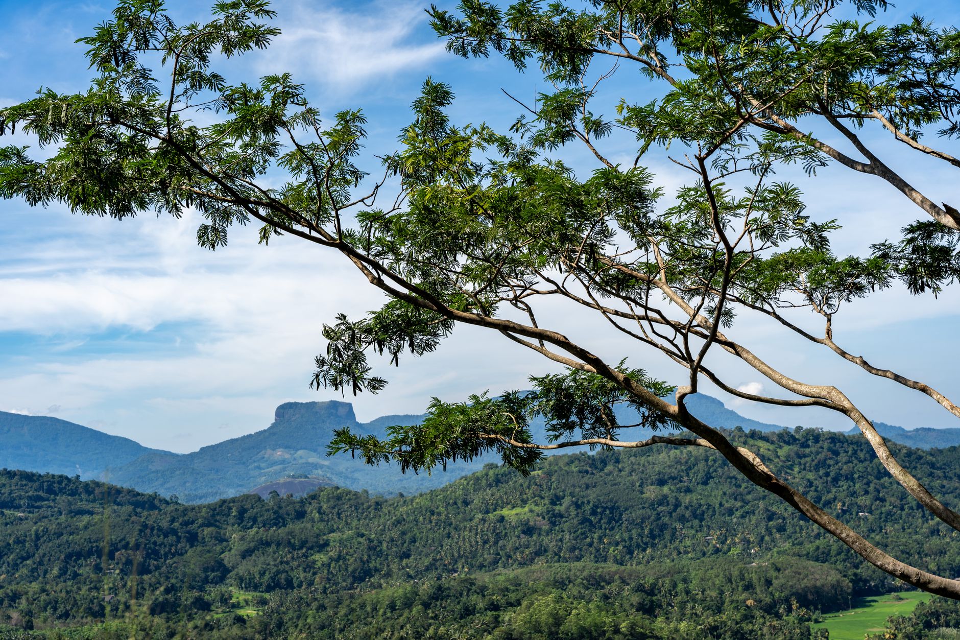 Sri Lanka Ayurvedic Retreat: Where to Go and What to Expect
