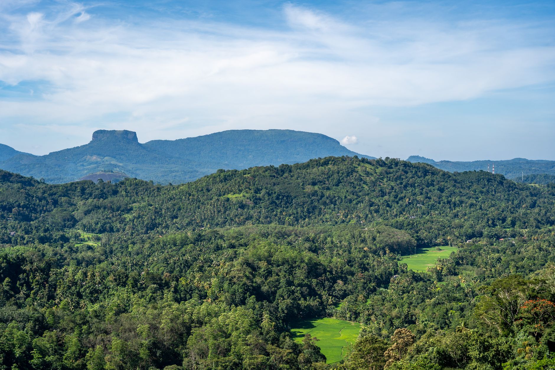Best Budget Guesthouses in Kitulgala Under $50