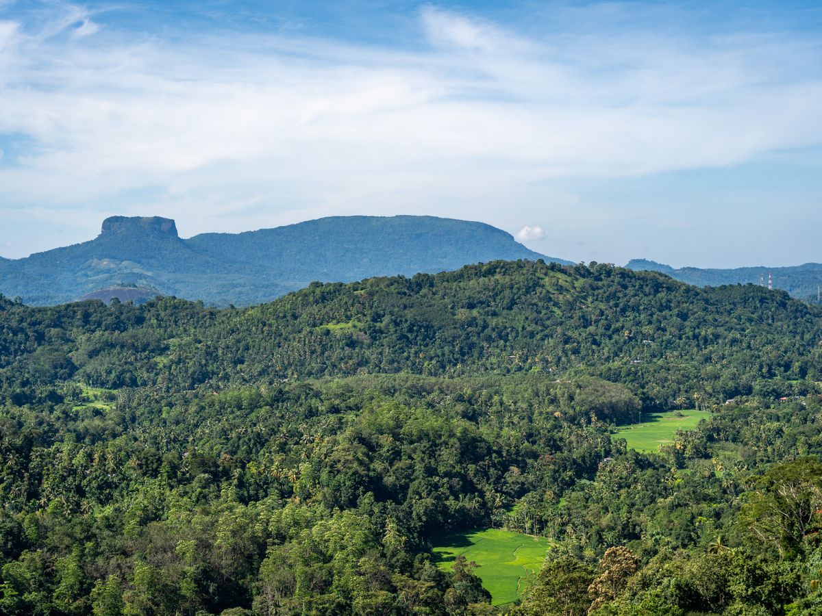 14 Day Detox & Recharge Retreat in Nature, Sri Lanka 2