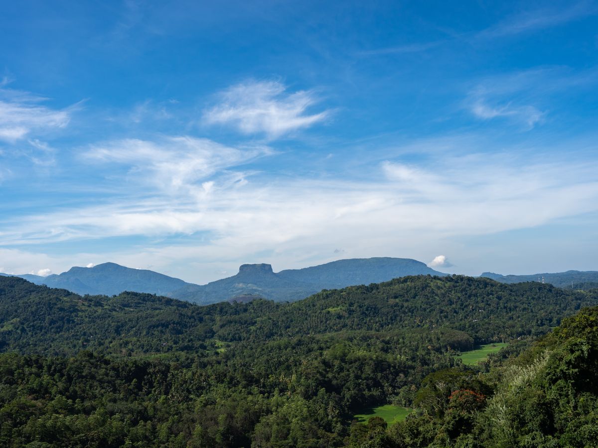 5 Day Detox & Recharge Retreat in Nature, Sri Lanka 2
