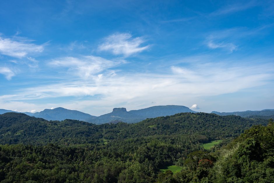 Immigrer en Sri Lanka après 40 ans : quelles options ?