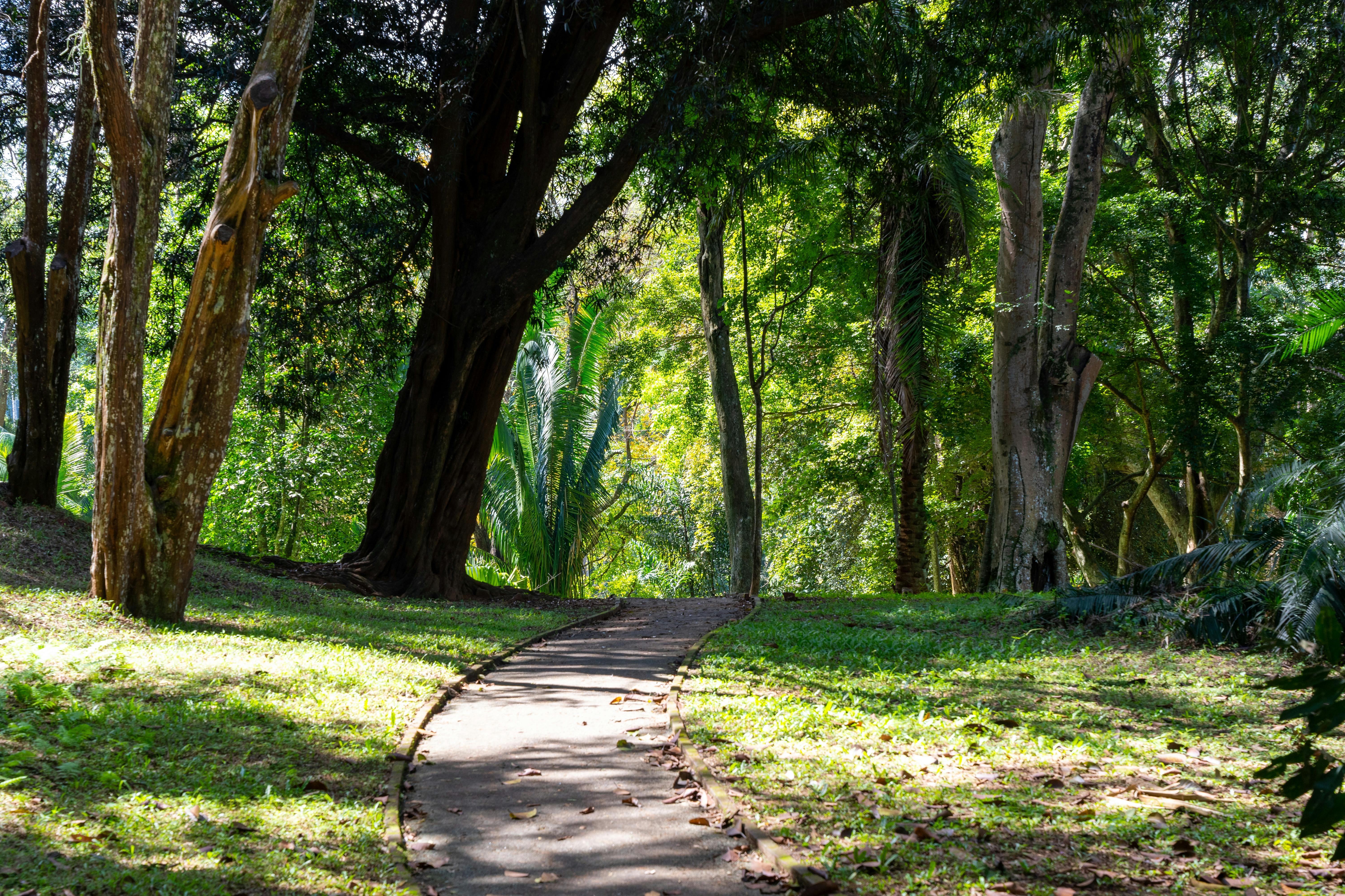 Discovering Inner Peace At Nilambe Buddhist Meditation Centre