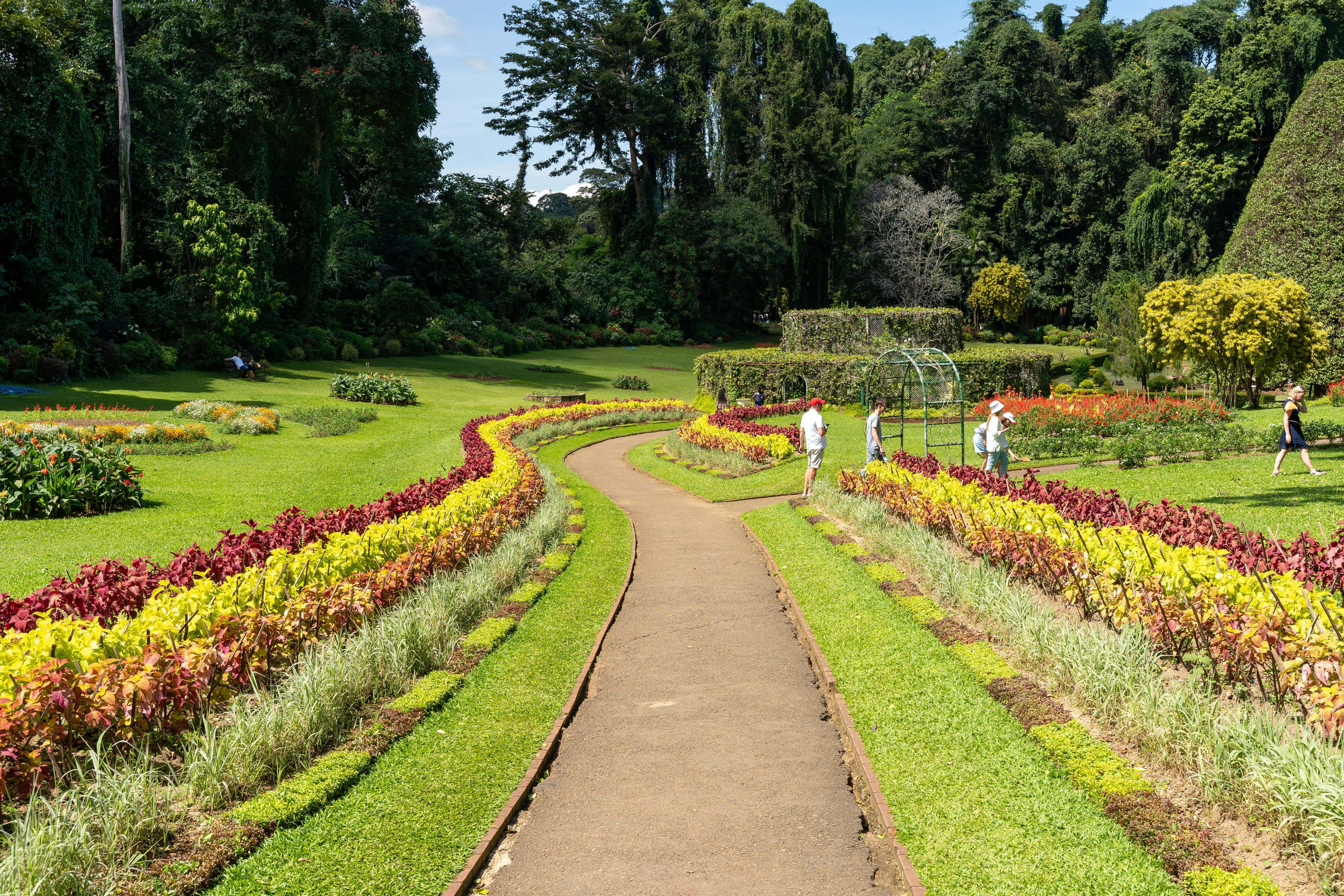 Serene Sri Lanka Escape 7N/8D - Image 3