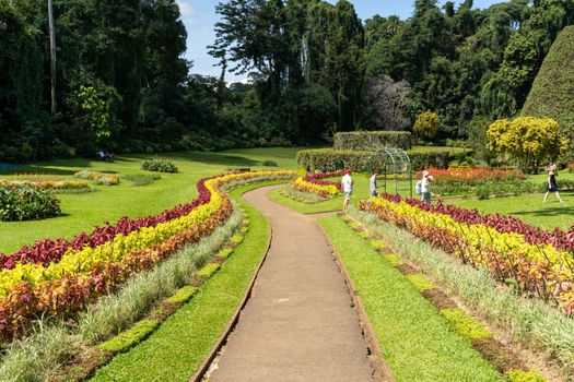 Explore the lush landscapes and colorful flora in a Sri Lankan botanical garden.