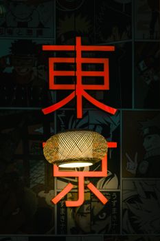Bright neon sign with Japanese characters over anime-themed background in Tokyo, Japan.
