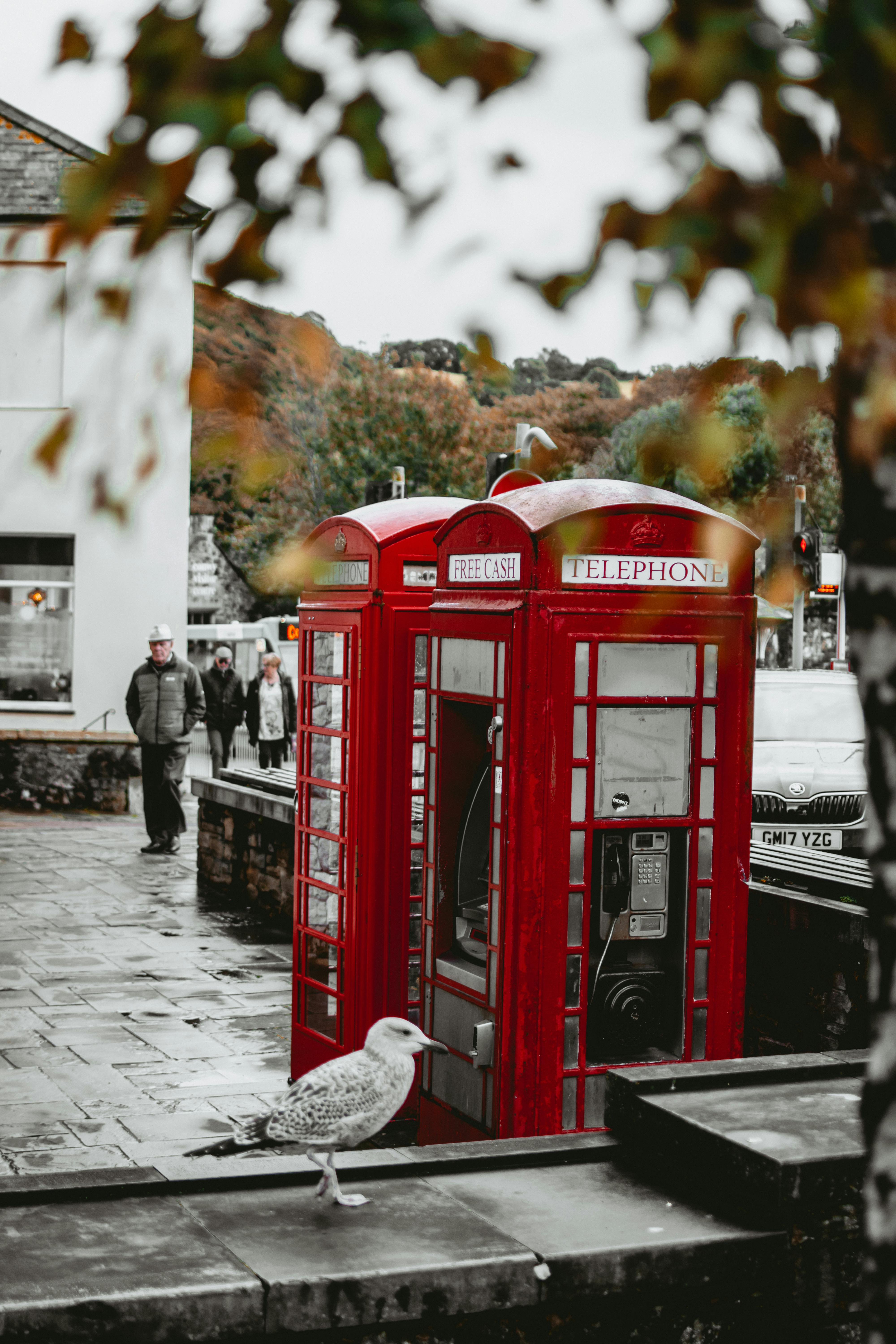 A classic red telephone booth with a seagull, capturing street life on a cloudy day.