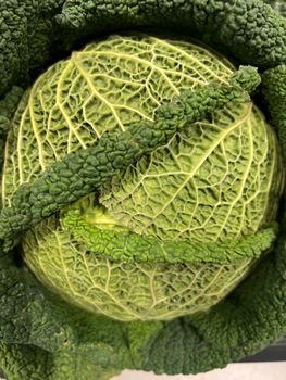 Savoy Cabbage