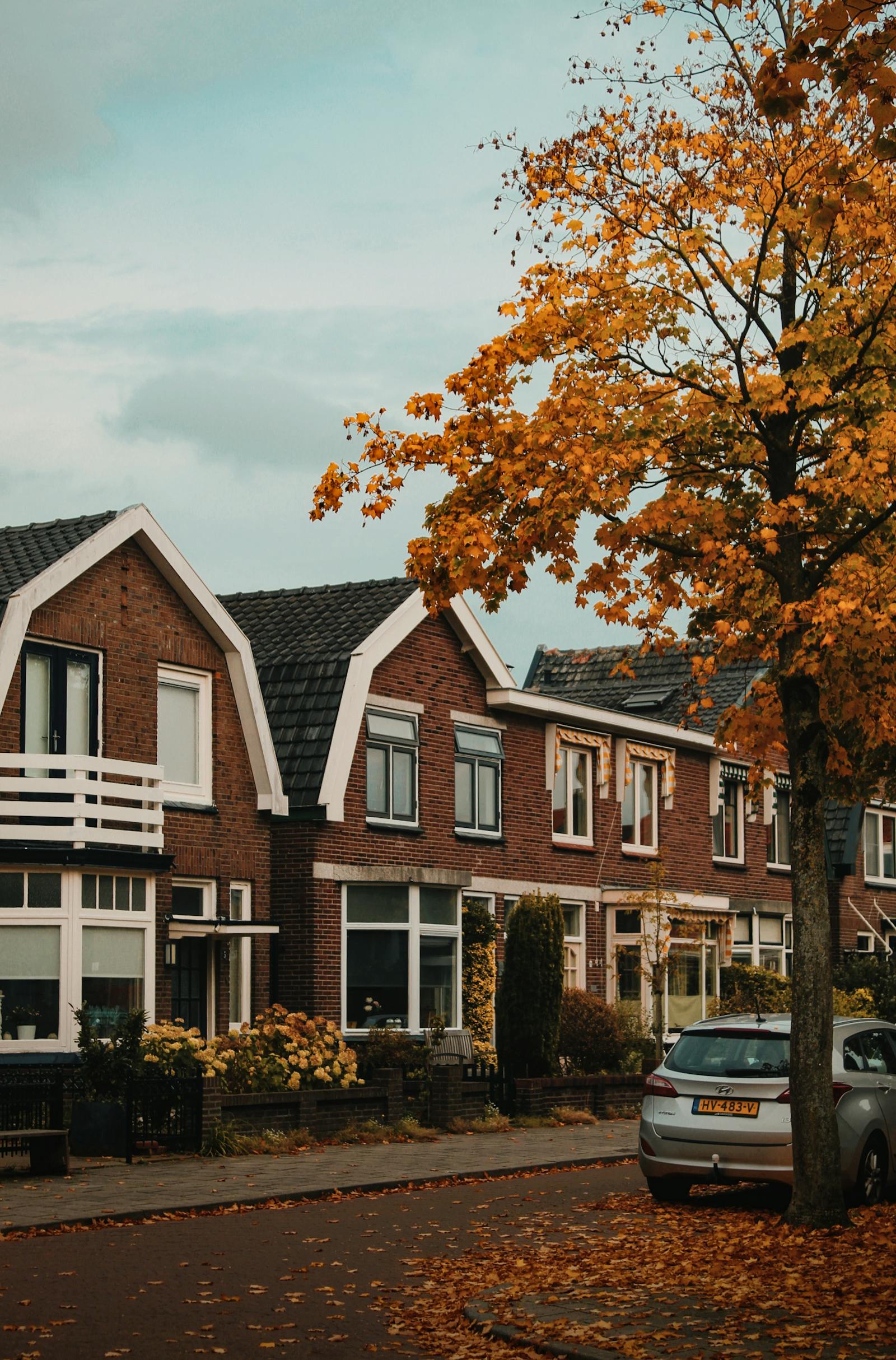 Suburban residential street lined with trees and autumn foliage