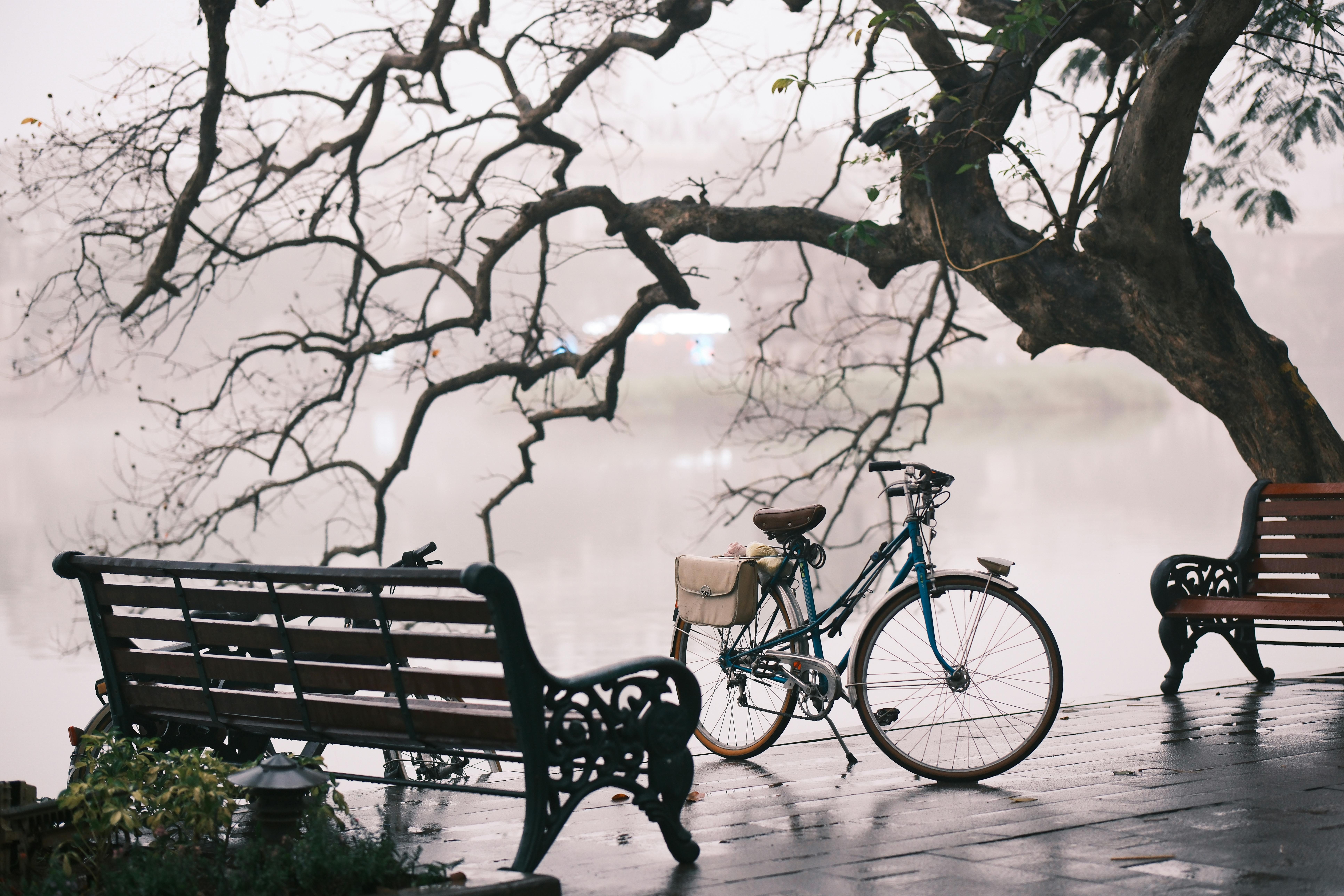 A peaceful view of a bicycle near empty benches by a misty riverbank.