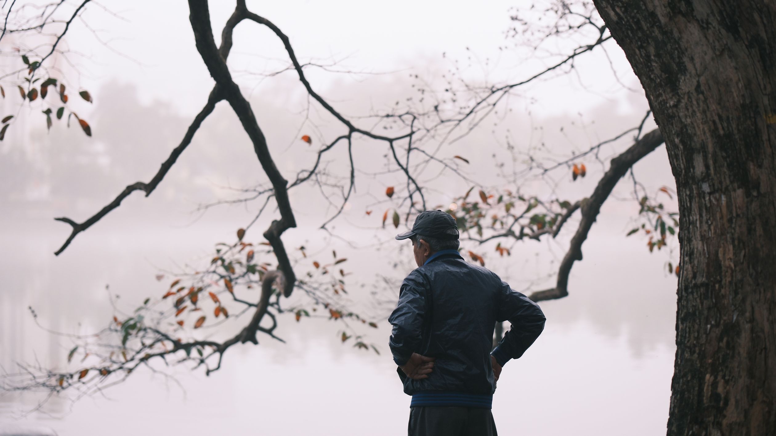 Contemplative Elderly Man by Tranquil Lake · Free Stock Photo
