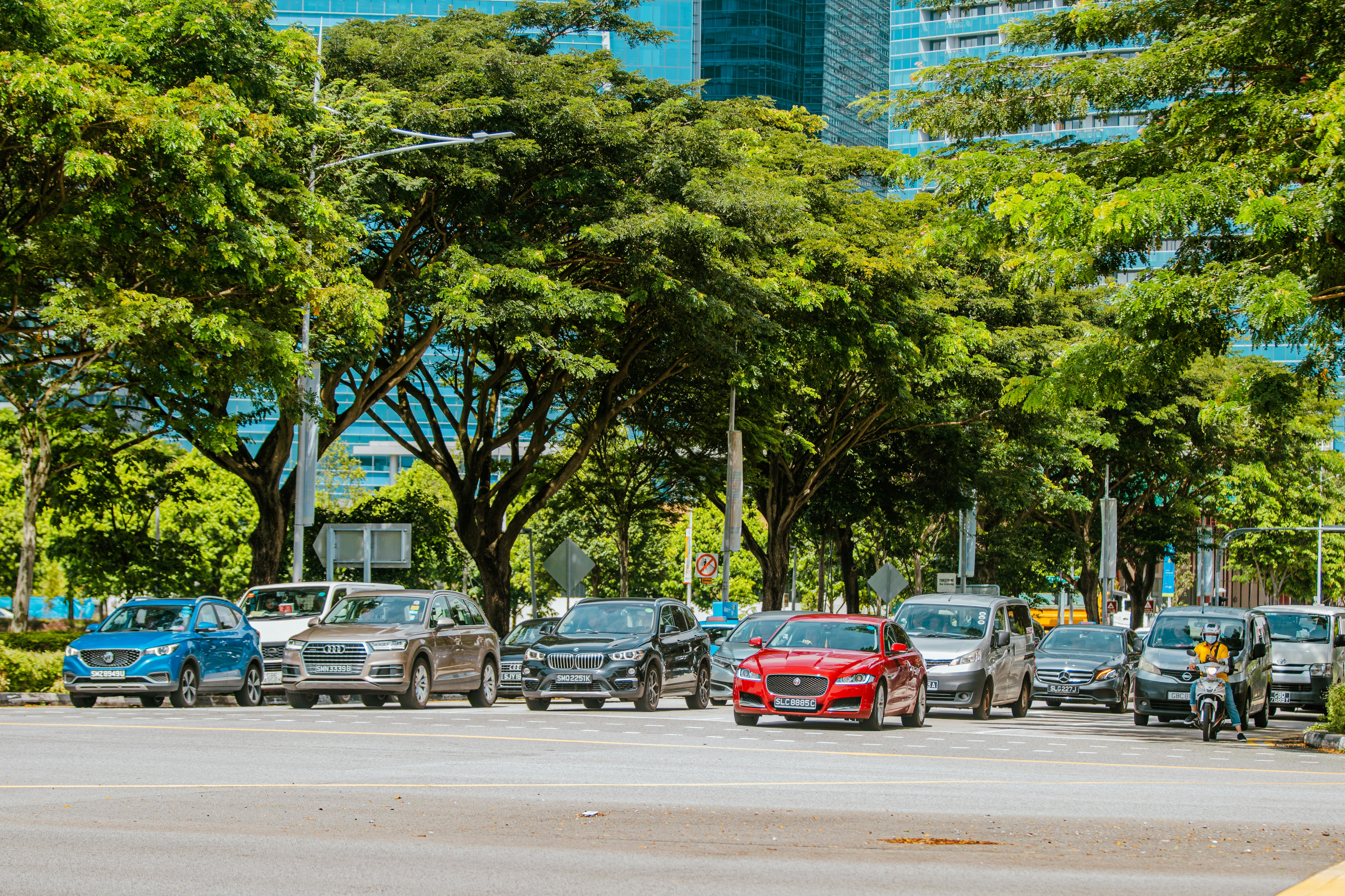 evs explained green transportation — Photo by Christian  Alemu on Pexels