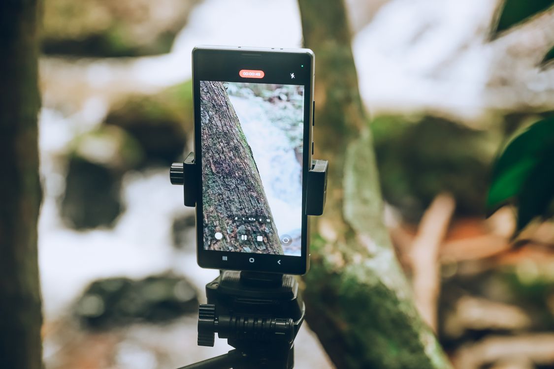 Mobile Capturing Capturing Nature with Smartphone Photography Β· Free Stock Photo
