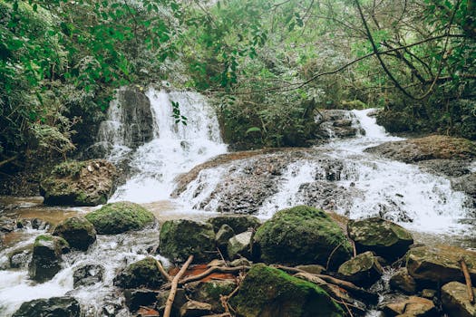 Image by Jhonny' Mages