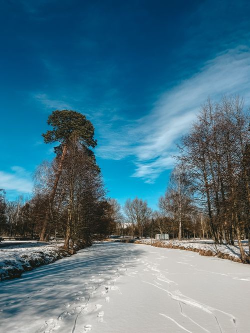 Free A serene frozen river in a winter woodland setting under a bright blue sky. Stock Photo