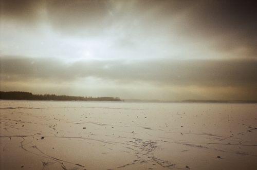 Free Peaceful snowy landscape with overcast sky and distant forest. Stock Photo