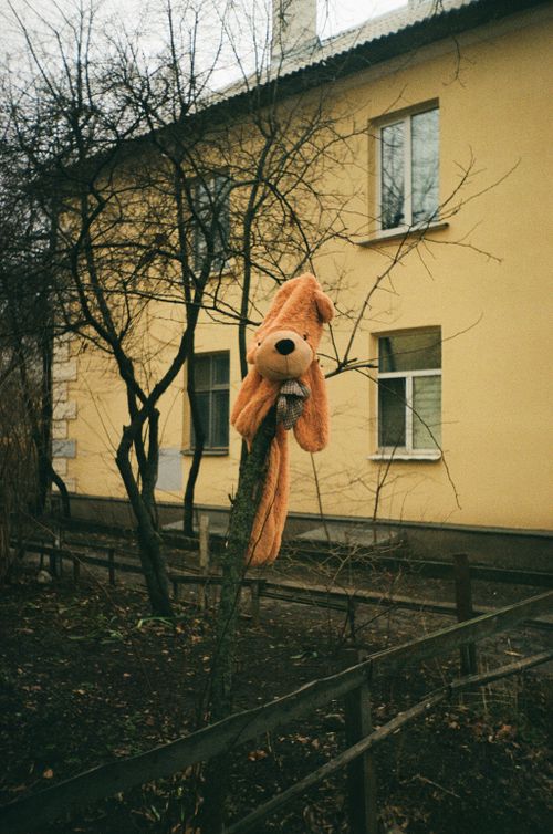 Free A teddy bear hangs from a branch in a quiet city alleyway. Stock Photo