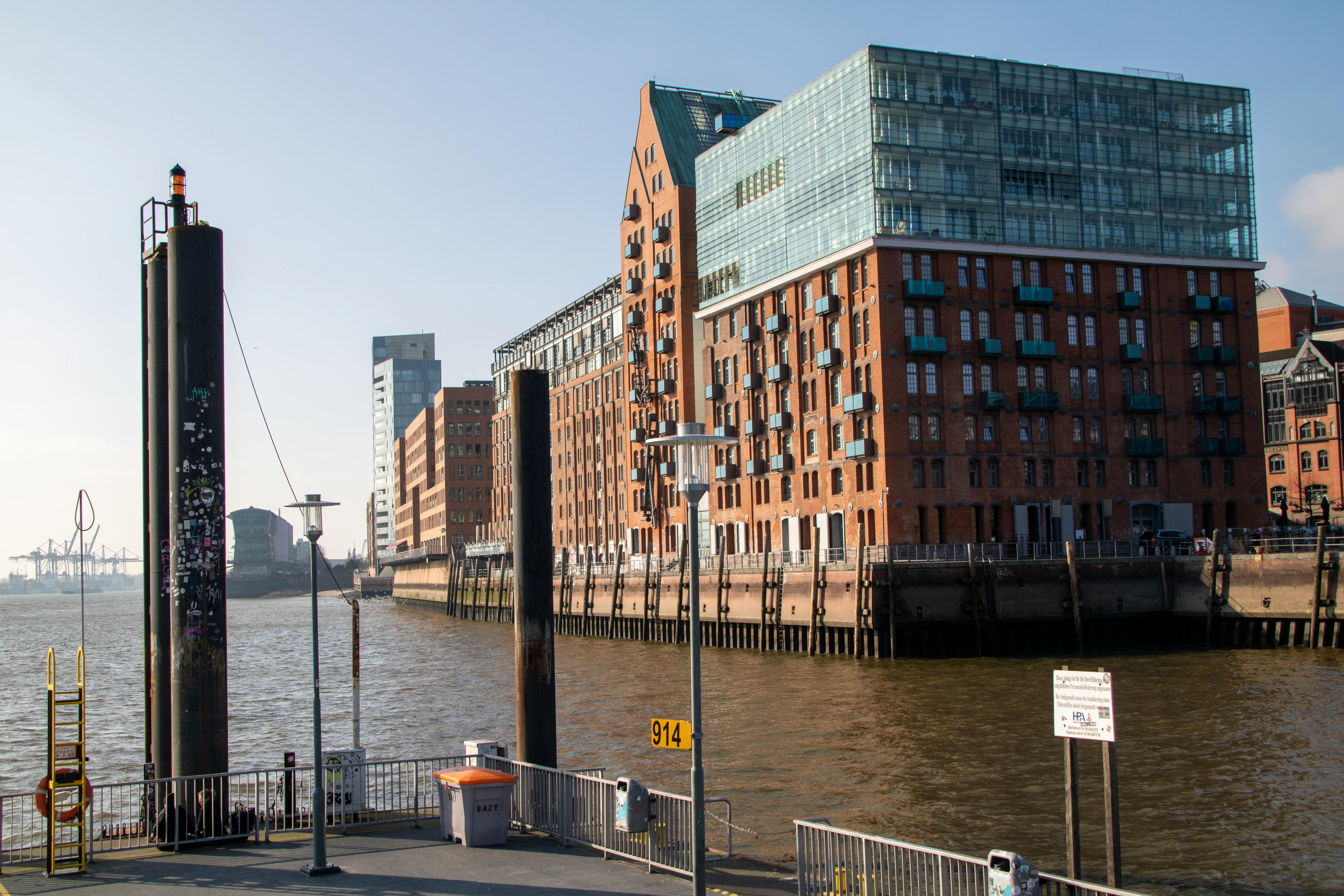 Portrait of Dr. Anya Sharma