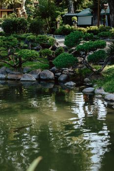 Serene Japanese garden pond with lush greenery and rocks reflecting in the water.