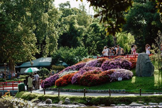 A vibrant Japanese garden with blooming flowers and people enjoying the scenery in summer., free online jigsaw puzzle on JigsawPuzzlesFreeOnline.org