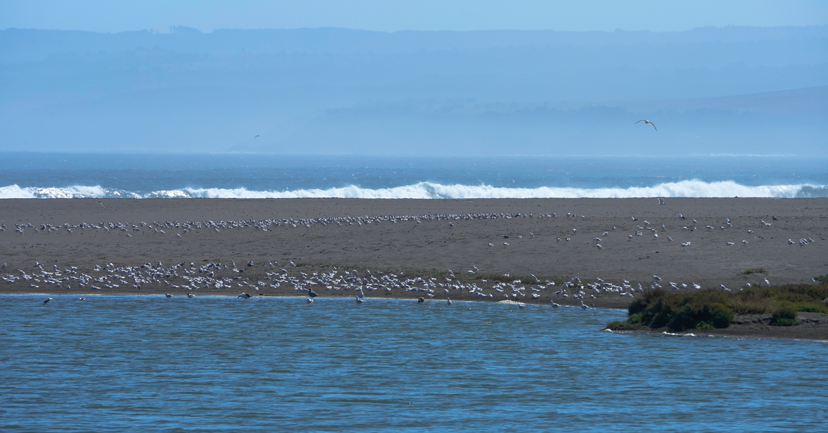 Pichilemu