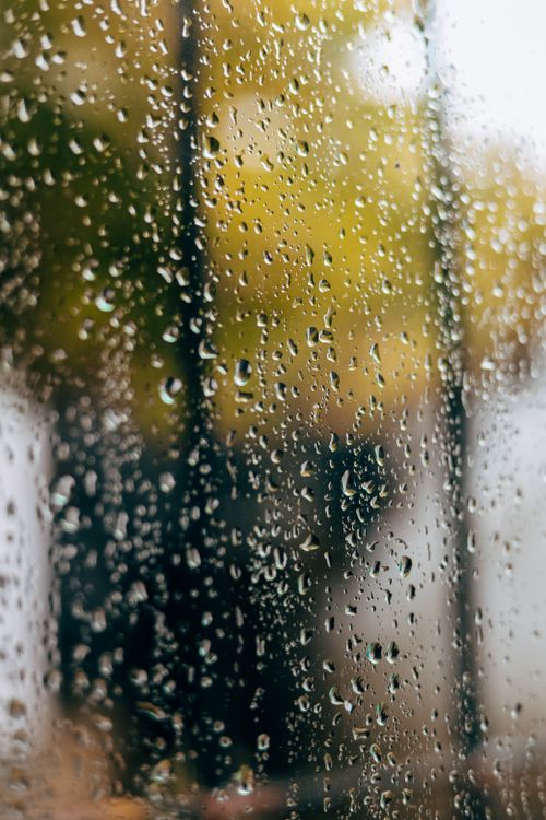Free rain Stock Photo