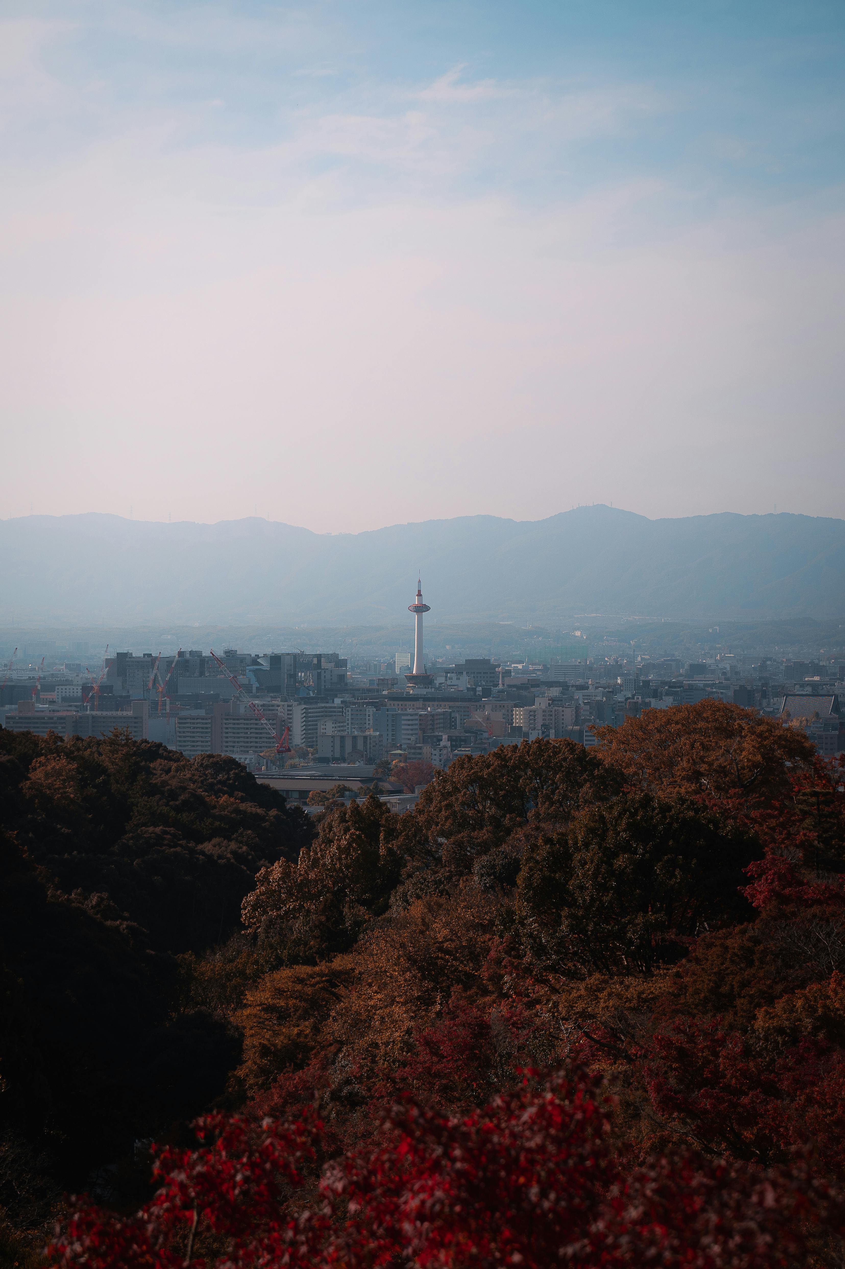 Explore the stunning Kyoto skyline with Kyoto Tower and vibrant autumn foliage.
