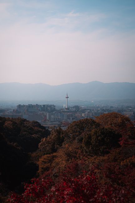 Explore the stunning Kyoto skyline with Kyoto Tower and vibrant autumn foliage.