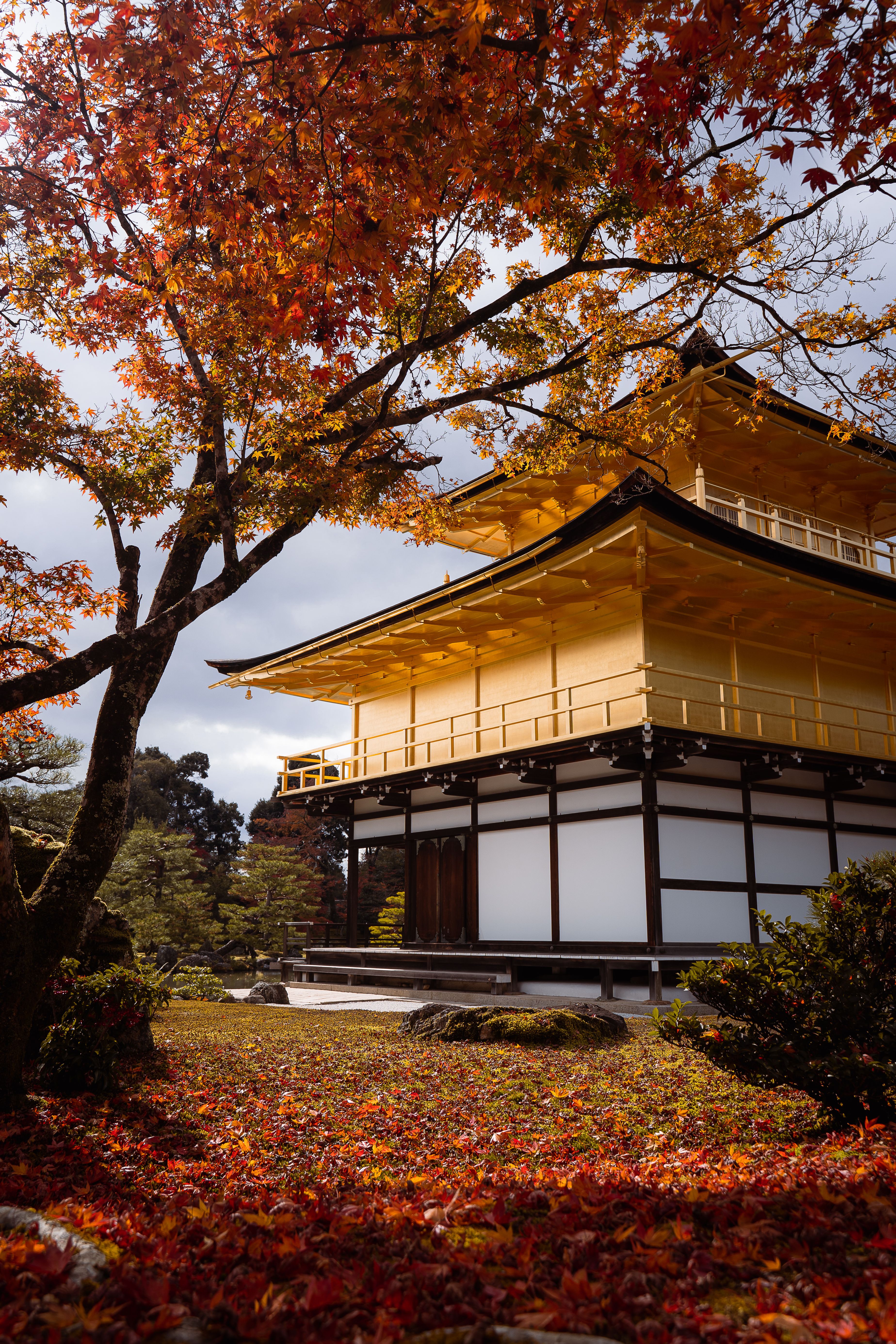 Le Kinkaku-ji entouré des couleurs flamboyantes de l'automne