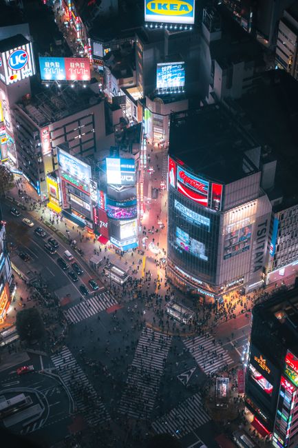 Mulai Tersesat di Keramaian Shibuya Mulai Tersesat di Keramaian Shibuya