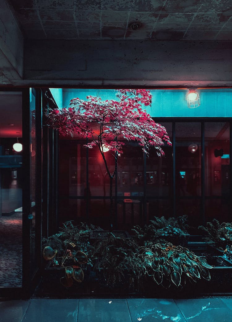 Terrace With Green Plants On Night Street