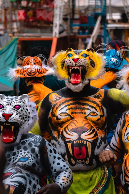 Colorful Pulikkali performers in traditional tiger face masks and body paint at a festival.