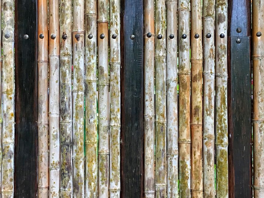 bamboo reed privacy fence - cheap privacy fence bamboo reed privacy fence - cheap privacy fence