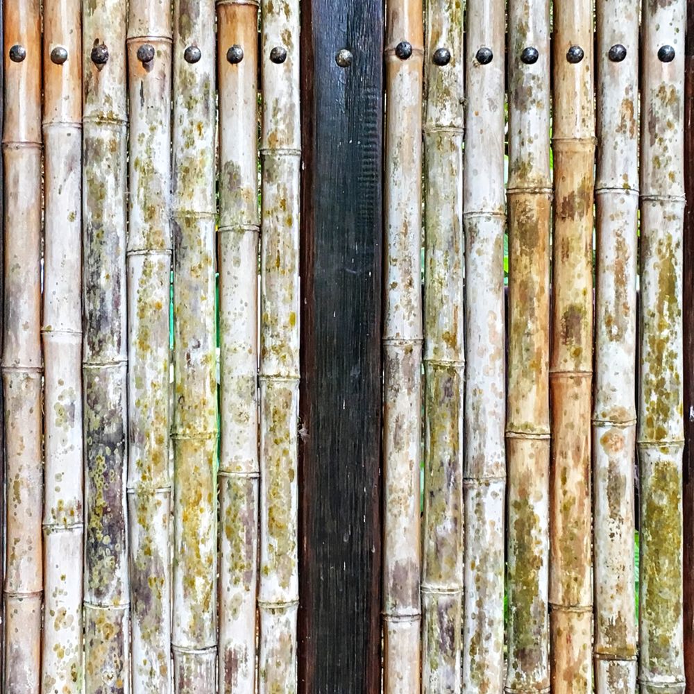 Fence and Decking Painting in Putney — a freshly painted, spotless finish