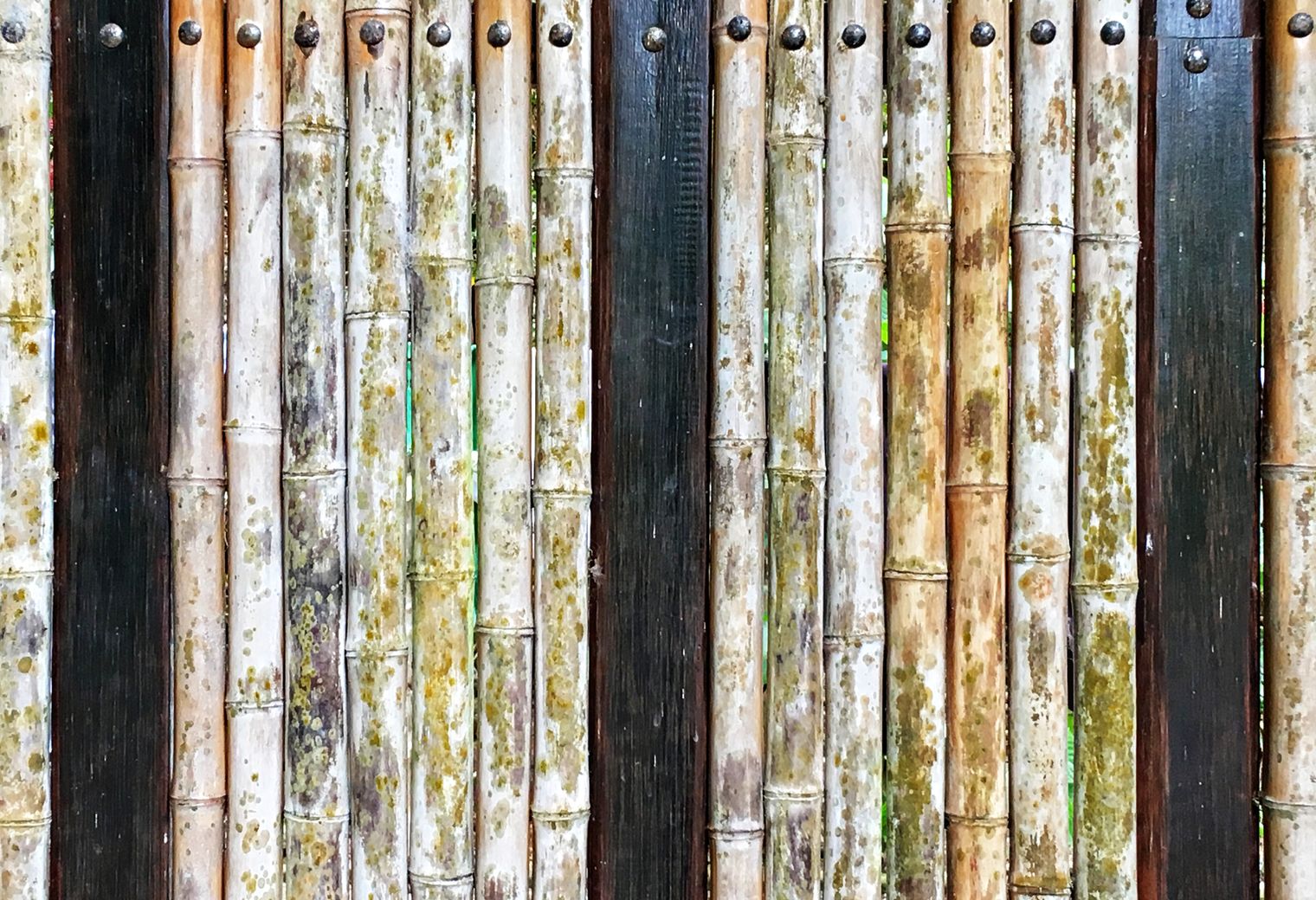Fence and Decking Painting in Barkingside — walls rolled to an even, flat finish