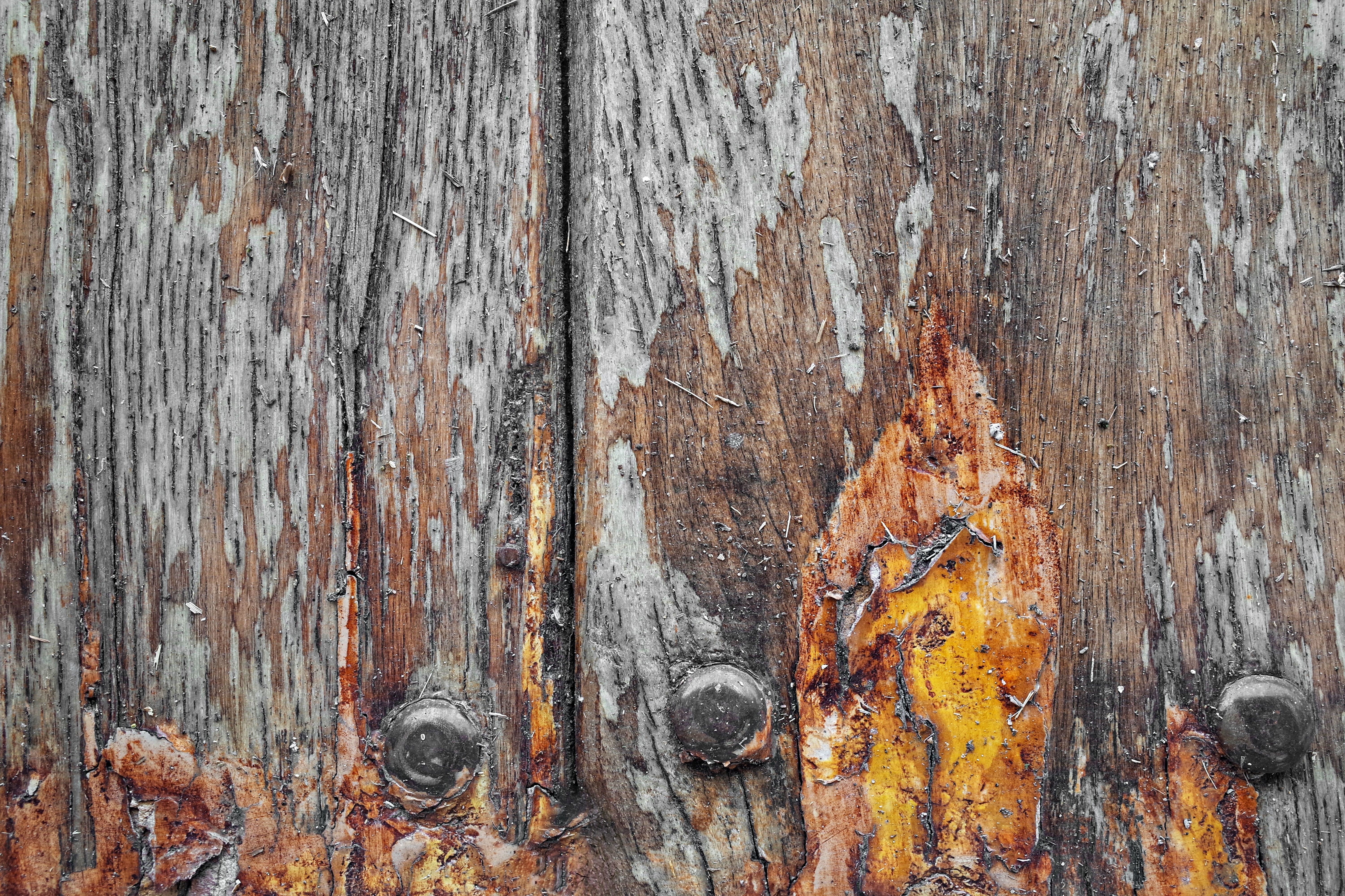 Painters and Decorators in Lower Morden — quality trade paint going on in two coats