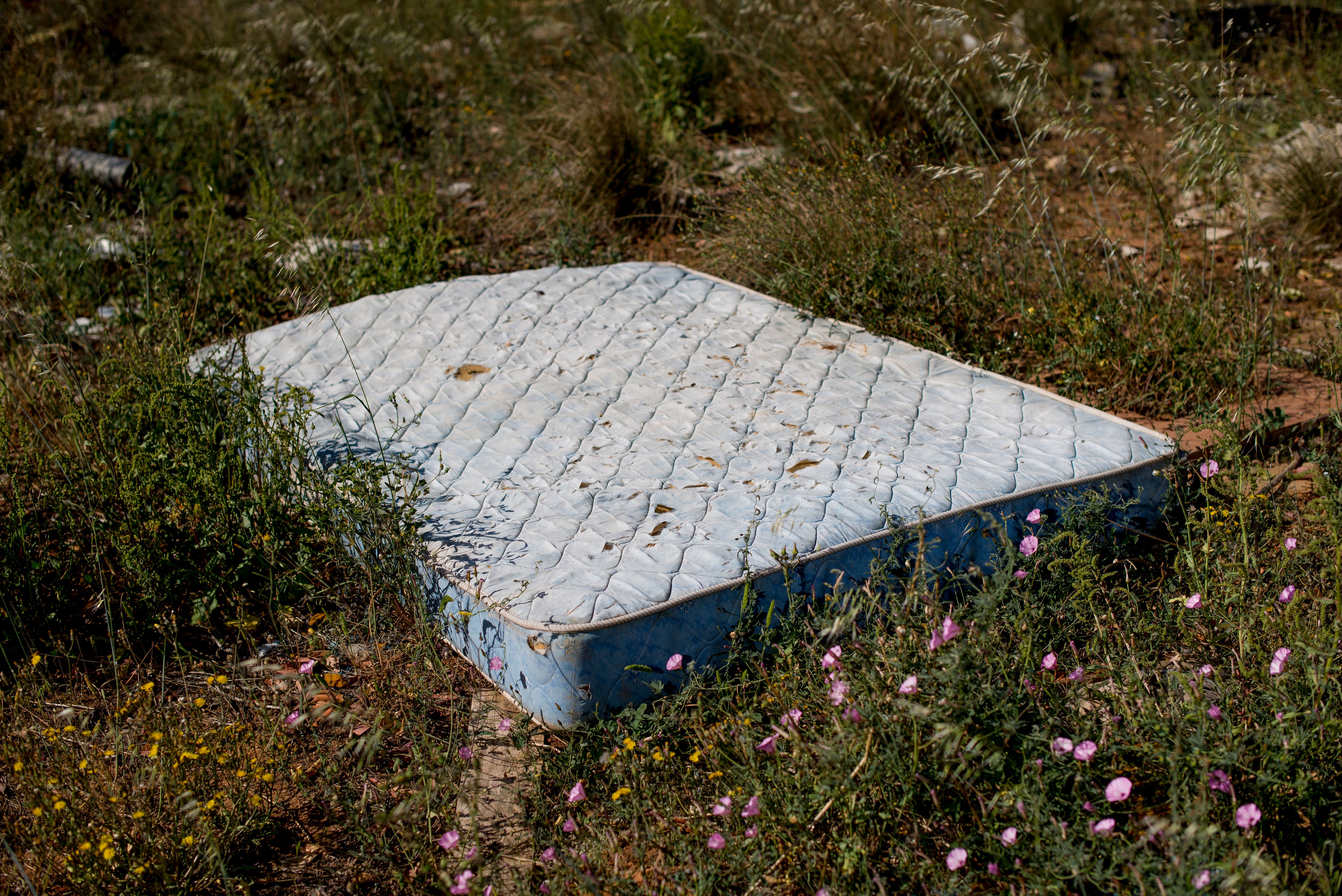 Worn mattress discarded in a grassy field surrounded by wildflowers, symbolizing neglect.