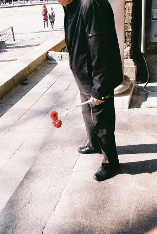 Free A person in black clothing holds red flowers while standing outdoors on a sunny day. Stock Photo