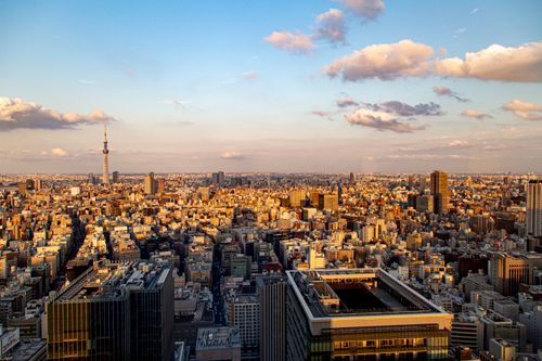Free Aerial view of Tokyo cityscape with Tokyo Skytree tower during sunset. Stock Photo