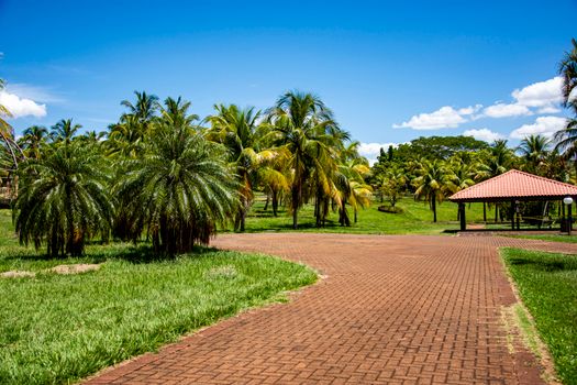 Lush tropical park with palm trees and pavilion in Primeiro de Maio, Brazil on a sunny day.
