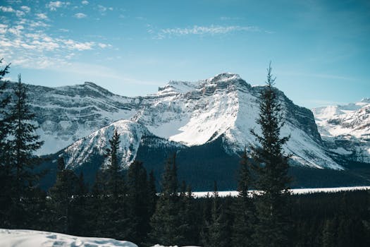 Scenic view of towering snowy mountains and evergreen trees in Jasper National Park.